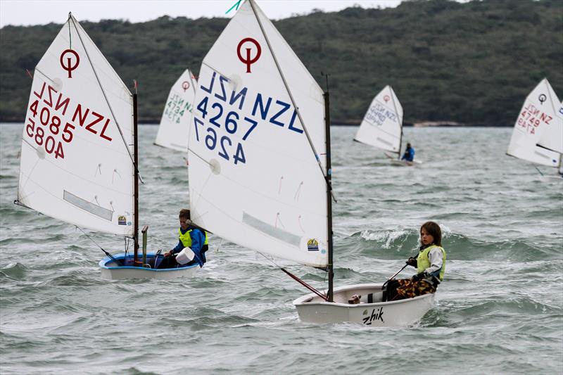 Wakatere BC - Optimist Green fleet - Auckland - February 7, - Wakatere BC - photo © Richard Gladwell / Sail-World.com / nz