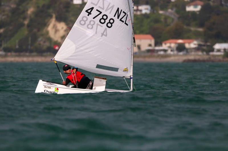 Doyle Sails partner the Akarana Sailing Academy photo copyright Suellen Hurling taken at Royal Akarana Yacht Club and featuring the Optimist class