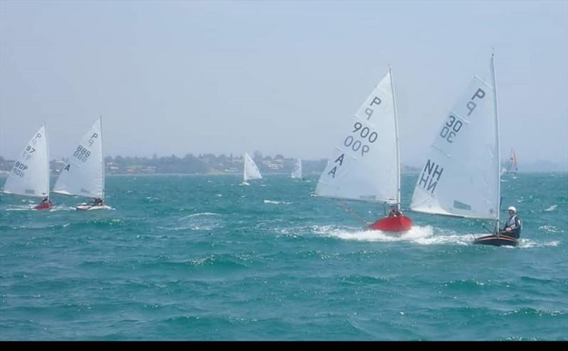 Day 1 -  P class - Tanner Cup - Tauranga Yacht and Power Boat Club - January 2019 photo copyright Tauranga Yacht and Power Boat Club taken at  and featuring the P class class