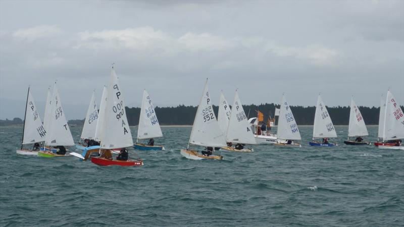 Day 1 - P class - Tauranga Cup - Tauranga Yacht and Power Boat Club - January 2019 photo copyright Tauranga Yacht and Power Boat Club taken at  and featuring the P class class