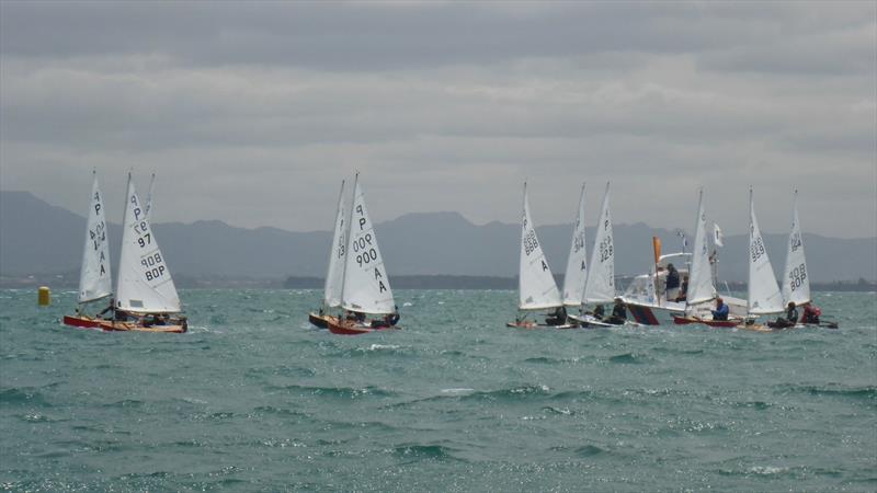 Day 1 - P class - Tauranga Cup - Tauranga Yacht and Power Boat Club - January 2019 photo copyright Tauranga Yacht and Power Boat Club taken at  and featuring the P class class