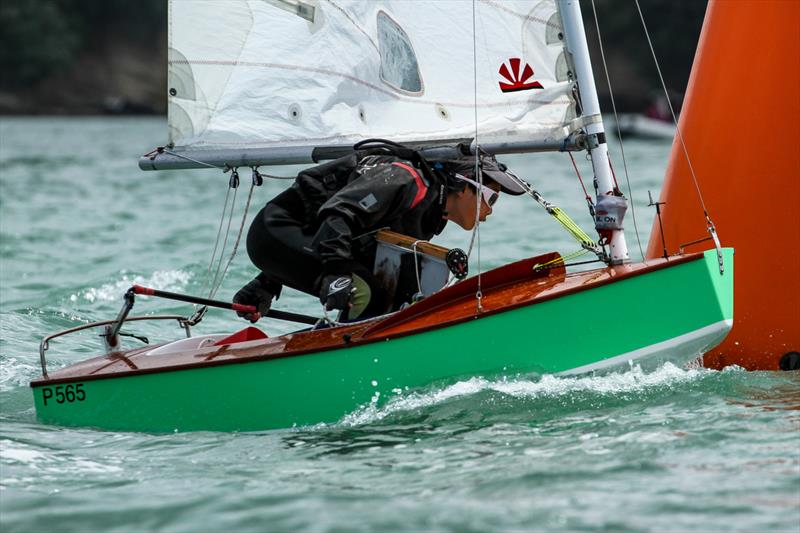 P Class Auckland Championships, November 13, 2022 - Wakatere Boating Club - photo © Richard Gladwell, Sail-World.com / nz