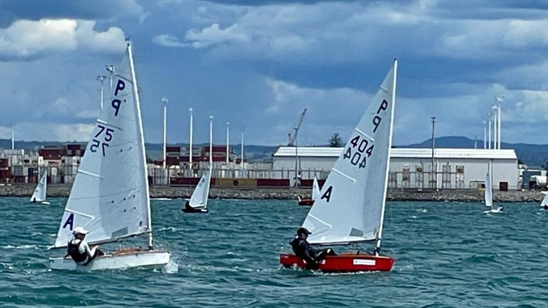  P class - 2024 Centenary Trophy, January 6, 2024, Tauranga - photo © Gary Smith