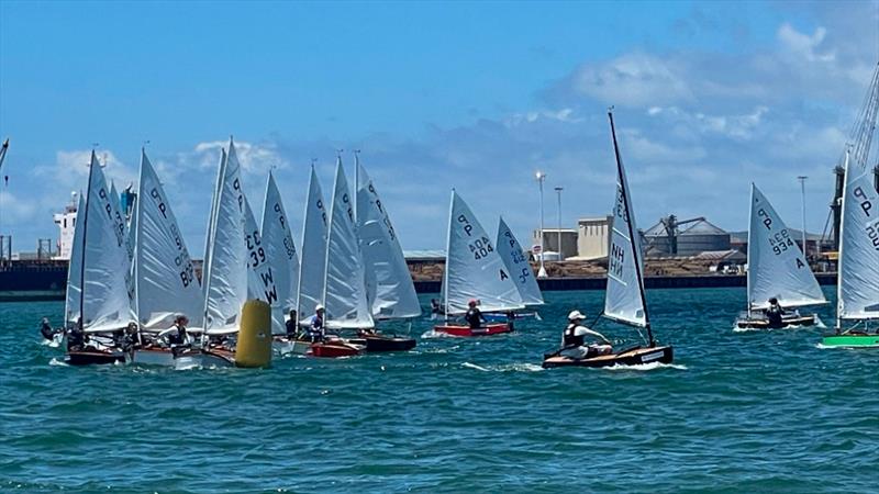 P class - 2024 Tauranga Cup, January 8, 2024, Tauranga - photo © Gary Smith