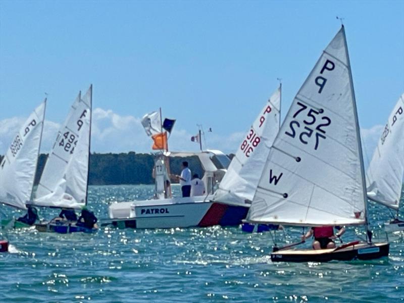 P class - 2024 Tauranga Cup, January 8, 2024, Tauranga - photo © Gary Smith