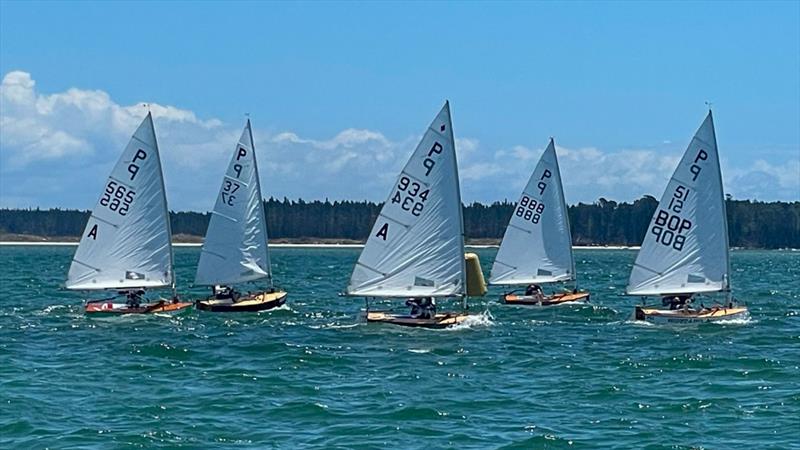 P class - 2024 Tauranga Cup, January 8, 2024, Tauranga - photo © Gary Smith