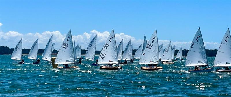 P class - 2024 Tauranga Cup, January 8, 2024, Tauranga - photo © Gary Smith