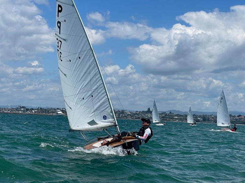 Lachy Wills - P class - 2024 Tauranga Cup, January 9, 2024, Tauranga - photo © Gary Smith