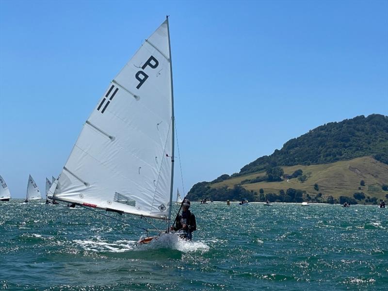 Ollie Shirley - P class - 2024 Tauranga Cup, January 9, 2024, Tauranga - photo © Gary Smith