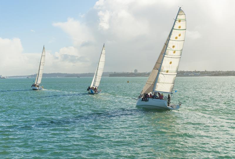 Three yachts racing each other in Auckland Harbour in New Zealand. - photo © Andrew Lever