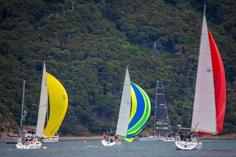 Big colour - Waikawa New Year Regatta 2021 - photo © Karmyn Ingram