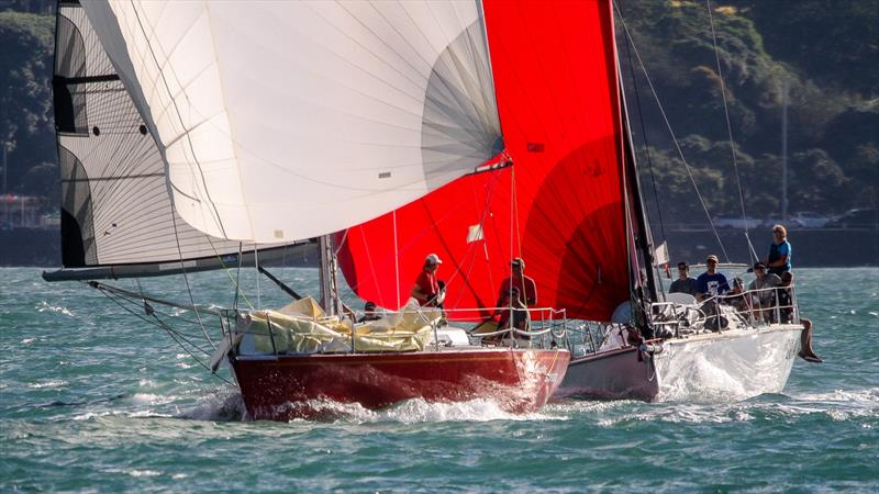Doyle Sails Evening Race - Royal New Zealand Yacht Squadron, January 19, 2021 photo copyright Richard Gladwell - Sail-World.com/nz taken at Royal New Zealand Yacht Squadron and featuring the PHRF class