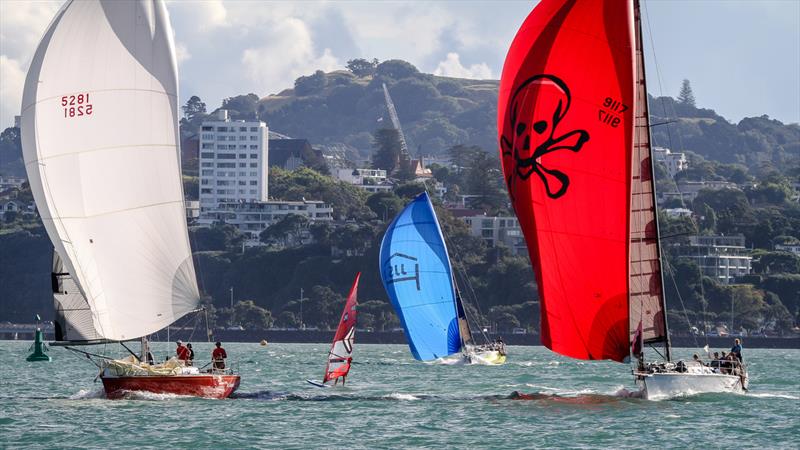 Doyle Sails Evening Race - Royal New Zealand Yacht Squadron, January 19, 2021 photo copyright Richard Gladwell - Sail-World.com/nz taken at Royal New Zealand Yacht Squadron and featuring the PHRF class