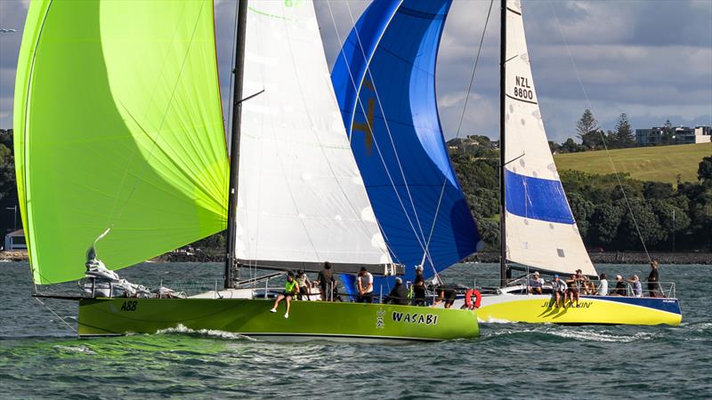 Doyle Sails Evening Race - Royal New Zealand Yacht Squadron, January 19, 2021 photo copyright Richard Gladwell - Sail-World.com/nz taken at Royal New Zealand Yacht Squadron and featuring the PHRF class