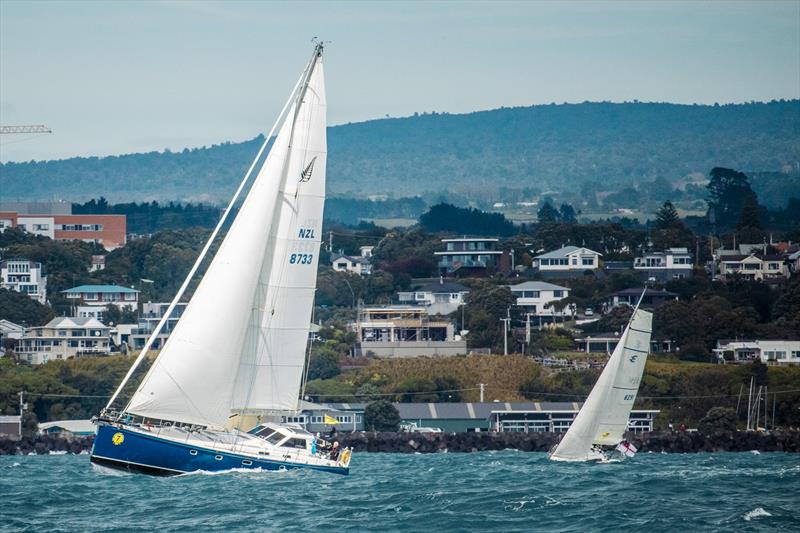 Start Ray White Solo Tasman Yacht Challenge - New Plymouth - April 9, 2023 - photo © New Plymouth YC