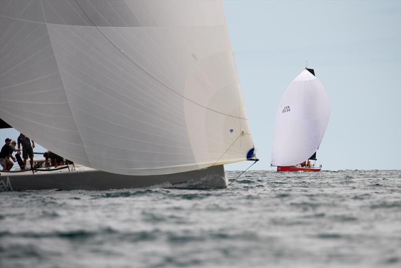 Bay of Islands Sailing Week - January 2023 photo copyright Lissa Reyden taken at Bay of Islands Yacht Club and featuring the PHRF class