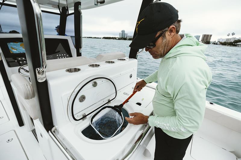 Set up for the business of fishing - Aquila Molokai Cat 28 photo copyright Aquila Boats taken at  and featuring the Power boat class