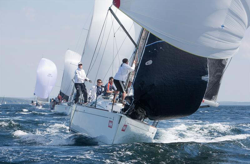 RC35 2018 Champion - Animal photo copyright Marc Turner taken at Clyde Cruising Club and featuring the RC35 class