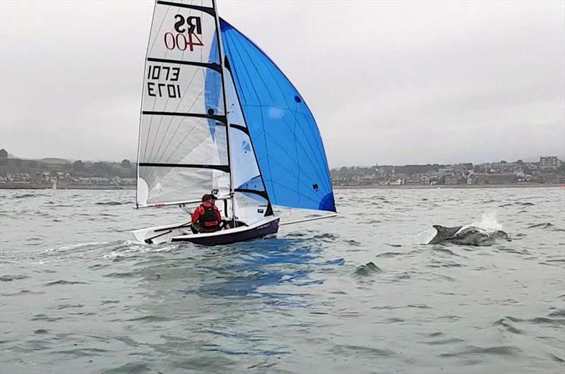 A pod of dolphins visits JP Watersports RS400 Scottish Tour Round 6 at Aberdeen & Stonehaven photo copyright Claire Leven taken at Aberdeen & Stonehaven Yacht Club and featuring the RS400 class