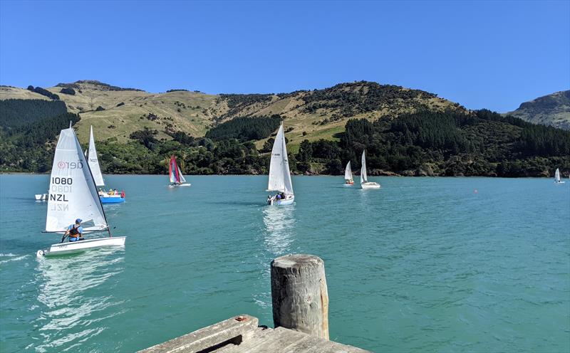 Nick Rayner sailing on Pigeon Bay, Christchurch - photo © Nick Rayner