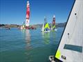 © NZ RS Feva Assoc