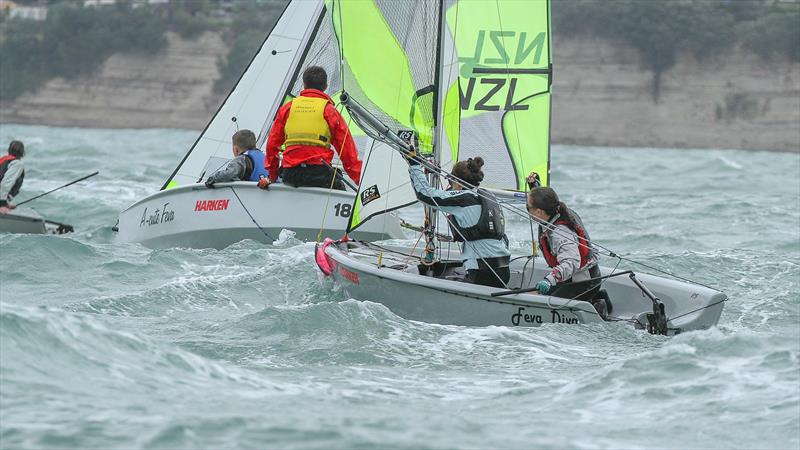 Day 1 - 2019 RS Feva NZ National Championships - Torbay Sailing Club - 30 March 2019 photo copyright Richard Gladwell taken at Torbay Sailing Club and featuring the RS Feva class