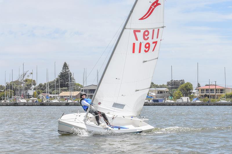 CASS - There were a great number of dinghies out sailing - Goolwa Regatta Week 2018 photo copyright Cass Schlimbach taken at Goolwa Regatta Yacht Club and featuring the Sabre class