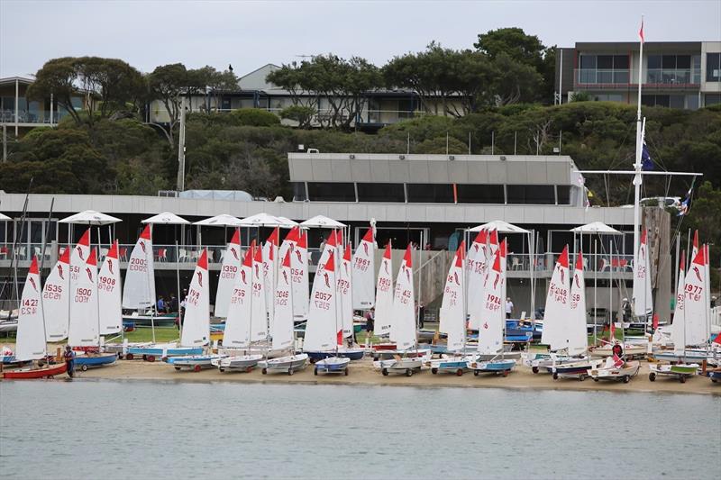 Sabres lined up on the beach at Blairgowrie Yacht Squadron photo copyright Harry Fisher taken at Blairgowrie Yacht Squadron and featuring the Sabre class