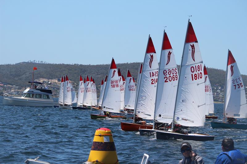 44th Sabre Nationals in Hobart photo copyright Peter Watson taken at Royal Yacht Club of Tasmania and featuring the Sabre class