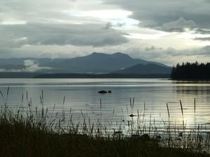 Sunset casts silvery light over Vancouver Island and Broughton Strait - British Columbia - photo © Duart Snow