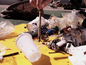 Standard catch for the Seabin photo copyright Seabin Project taken at  and featuring the  class