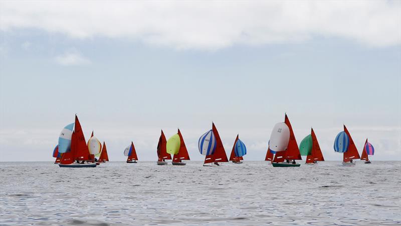 Squib South Coast Championships at Glandore Harbour - photo © Kathleen Hayes