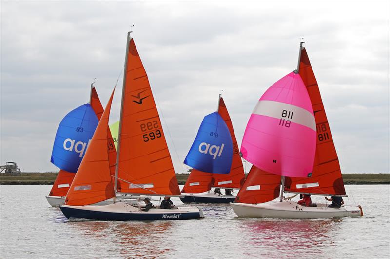 Always a good turnout of Squibs at Burnham Week photo copyright Roger Mant taken at Royal Burnham Yacht Club and featuring the Squib class