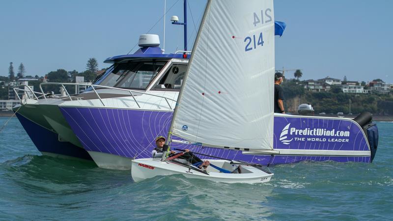 Starling - Predictwind Auckland Girls Championships - March 23, 2019 - photo © Richard Gladwell