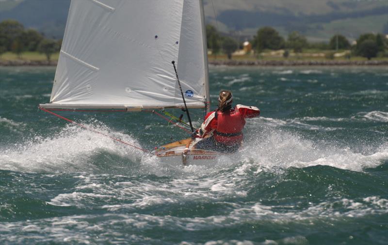 Kelly Barnes sailing in the 2005 Nationals at Tauranga - Des Townson, A sailing legacy  - photo © Kel Martin