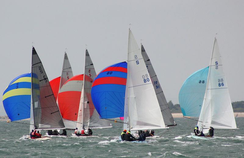 National Swallow In-Harbour Championship at Itchenor  - photo © Kirsty Bang