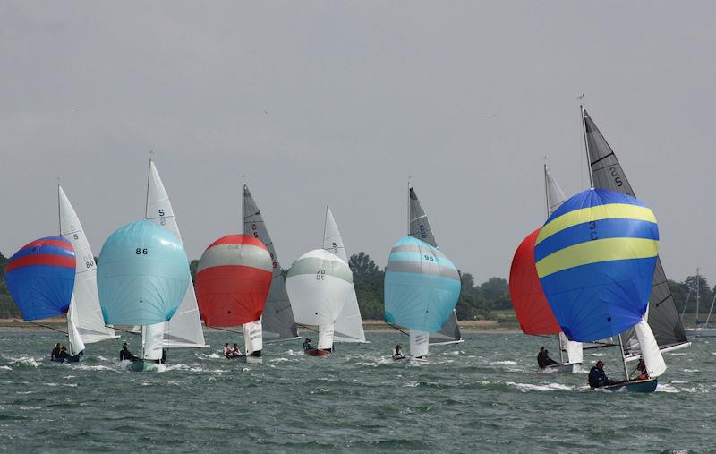 National Swallow In-Harbour Championship at Itchenor  - photo © Kirsty Bang