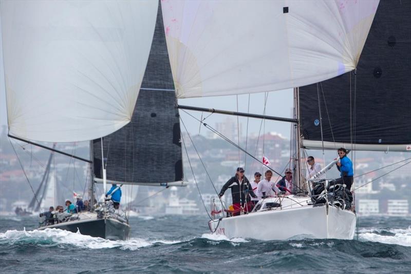 Sydney 38s side by side in 2018 Sydney Harbour Regatta photo copyright Andrea Francolini / MHYC taken at Middle Harbour Yacht Club and featuring the Sydney 38 class