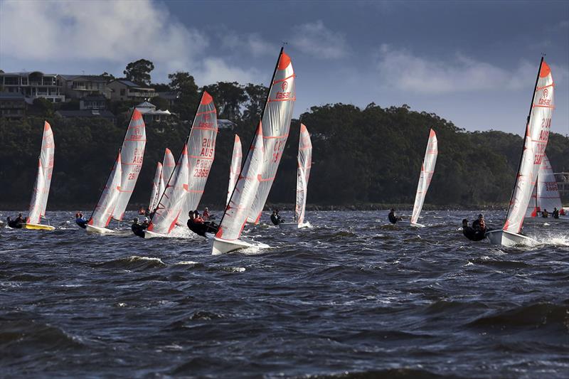 Tasars are just one of the many OTB classes that flock to Port Stephens - photo © Sail Port Stephens