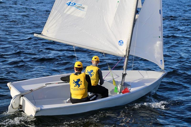 Final day at Australian Secondary Schools Team Racing Championships photo copyright Sam Tiedemann taken at Sandy Bay Sailing Club and featuring the Team Racing class