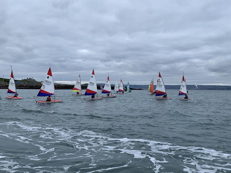 Taggart's Junior Icebreaker Series at Ballyholme Yacht Club photo copyright David Nelson taken at Ballyholme Yacht Club and featuring the Topper class