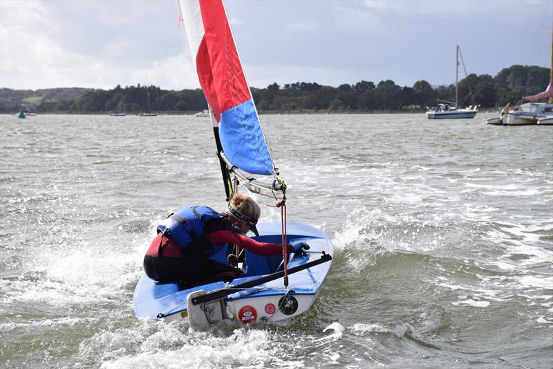 RS Tera and Topper open meeting at Starcross - photo © Peter Solly