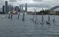 Lining up for a start of the 12ft Skiff 2024 NSW Sprint Championship on Sydney Harbour © Grant Casey
