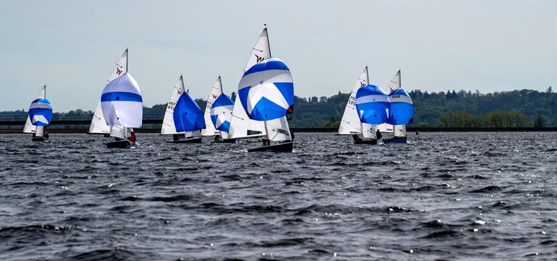 Wayfarer Inlands 2024 at Datchet photo copyright DWSC taken at Datchet Water Sailing Club and featuring the Wayfarer class