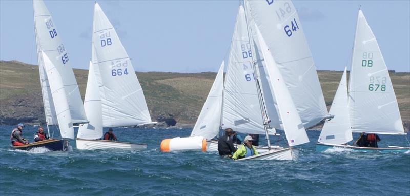 Yachting World Dayboat Week 2023 at Rock photo copyright Fiona MacFarlane taken at Rock Sailing and Waterski Club and featuring the Yachting World Dayboat class