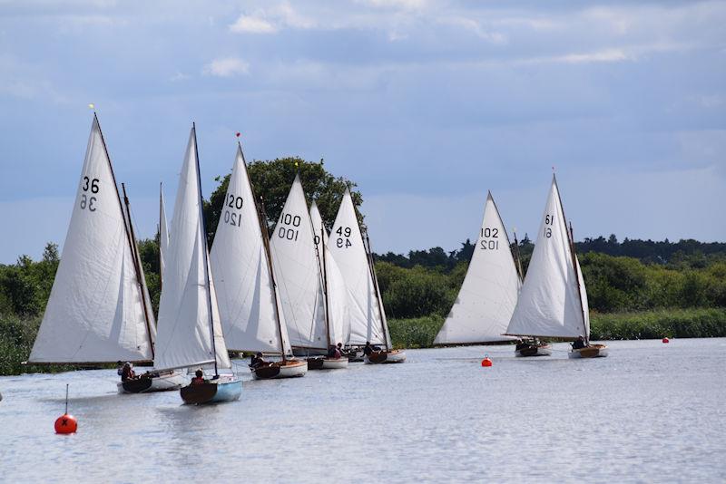 Horning Sailing Club Regatta Week 2023 photo copyright Holly Hancock taken at Horning Sailing Club and featuring the Yare & Bure One Design class