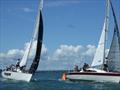 Young 88 Auckland Championships - March 2023