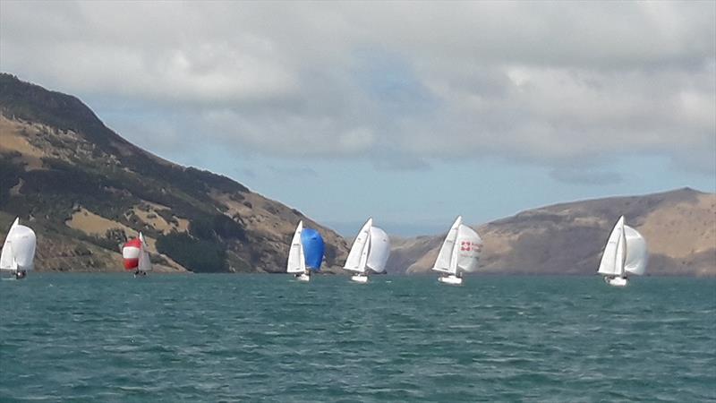 2019 South Island Young 88 Championship - Day 1 photo copyright Craig Edwards taken at  and featuring the Young 88 class