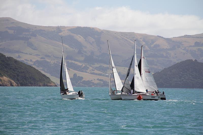 2019 South Island Young 88 Championship photo copyright Craig Edwards taken at  and featuring the Young 88 class