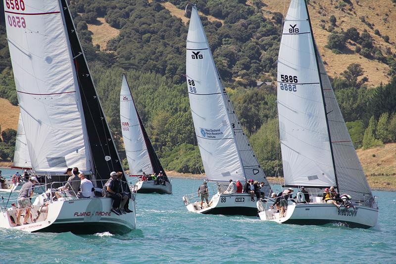 2019 South Island Young 88 Championship photo copyright Craig Edwards taken at  and featuring the Young 88 class